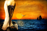 Pelican Sunset - Coastal Seascape with Sailing Ships