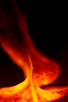 Molten-Grace