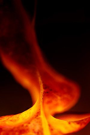 Molten-Grace