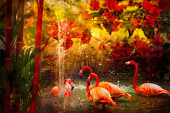 5.A.Tropical-Flamingos-web