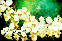 11.A.Tropical Flower Branch 2
