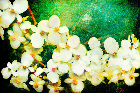 11.A.Tropical Flower Branch 2
