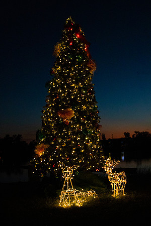 christmas-9