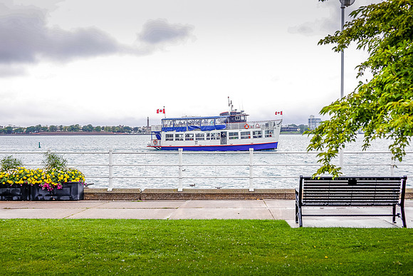 cruise-1