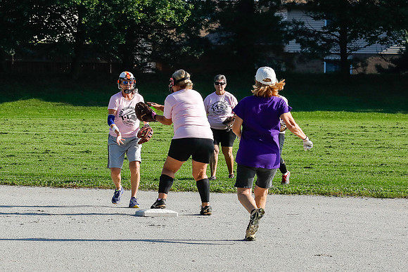 pink vs purple-16