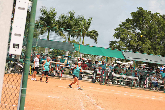 All Stars (290)