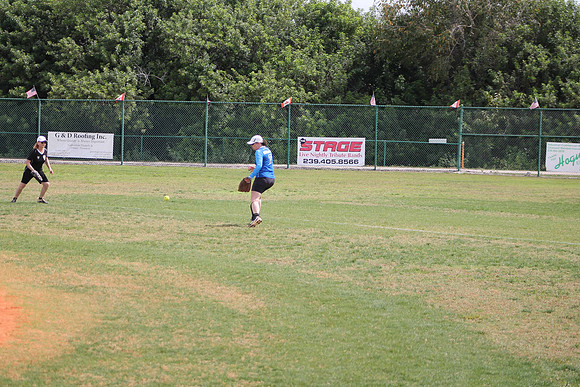 All Stars (253)